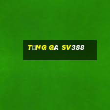 tổng gà sv388