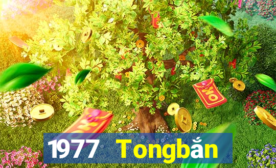 1977 Tongbắn trứng Ngu Ngu