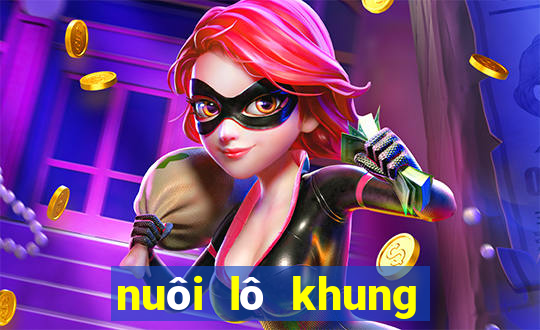 nuôi lô khung kép 2 ngày