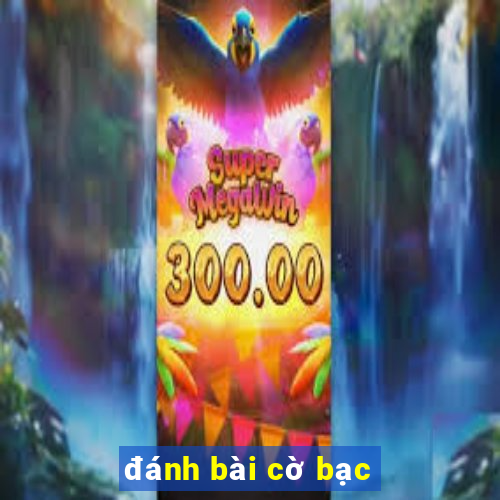 đánh bài cờ bạc