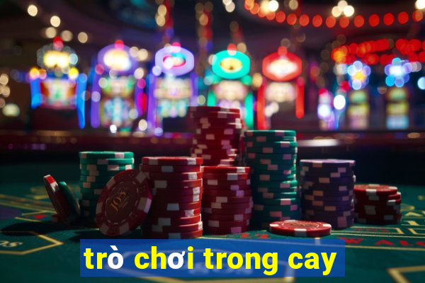 trò chơi trong cay