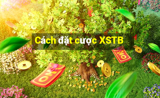 Cách đặt cược XSTB