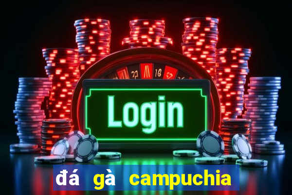 đá gà campuchia 2024 mới nhất