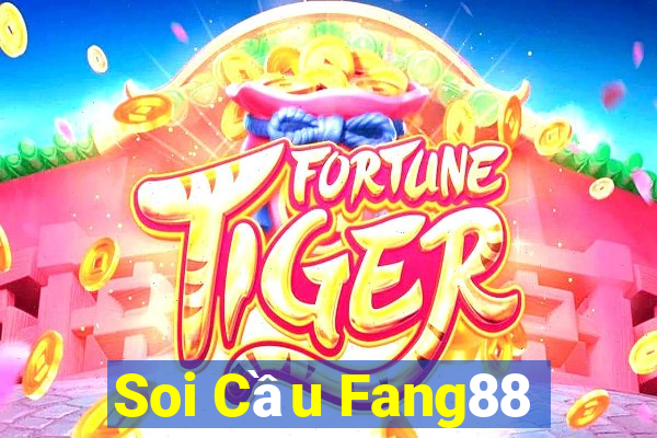 Soi Cầu Fang88