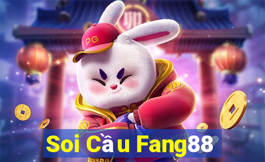 Soi Cầu Fang88