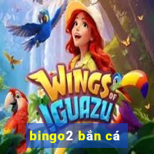 bingo2 ban ca