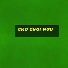 cho choi ngu