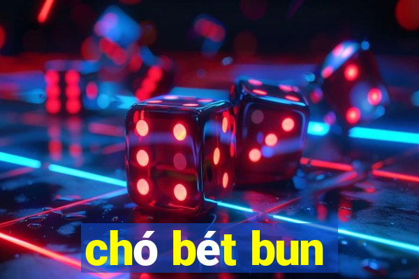 chó bét bun