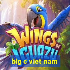 big c viet nam