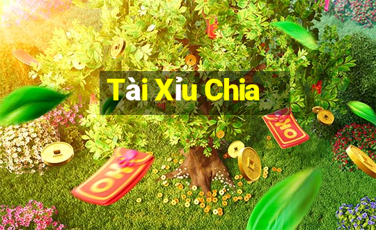 Tài Xỉu Chia