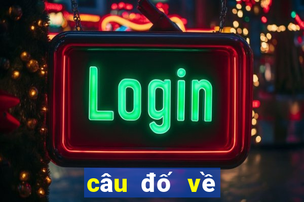 câu đố về lịch sử