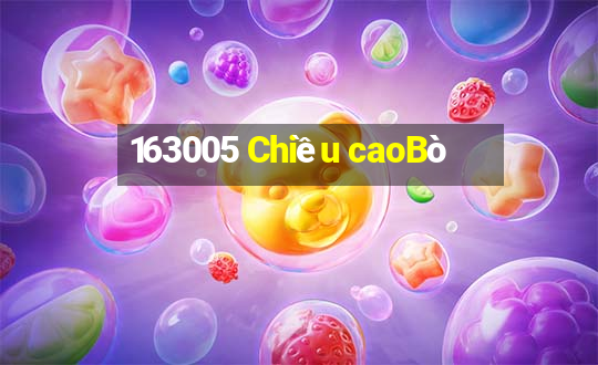 163005 Chiều caoBò