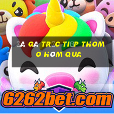 đá gà trực tiếp thomo hôm qua