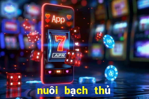 nuôi bạch thủ lô khung 2 ngày