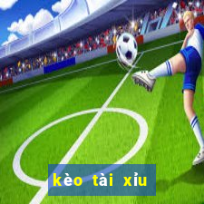 kèo tài xỉu 2.5 3