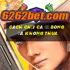 cách chơi cá độ bóng đá không thua