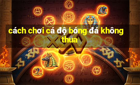 cách chơi cá độ bóng đá không thua