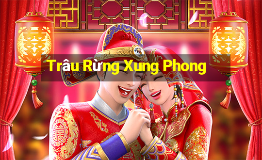 Trâu Rừng Xung Phong