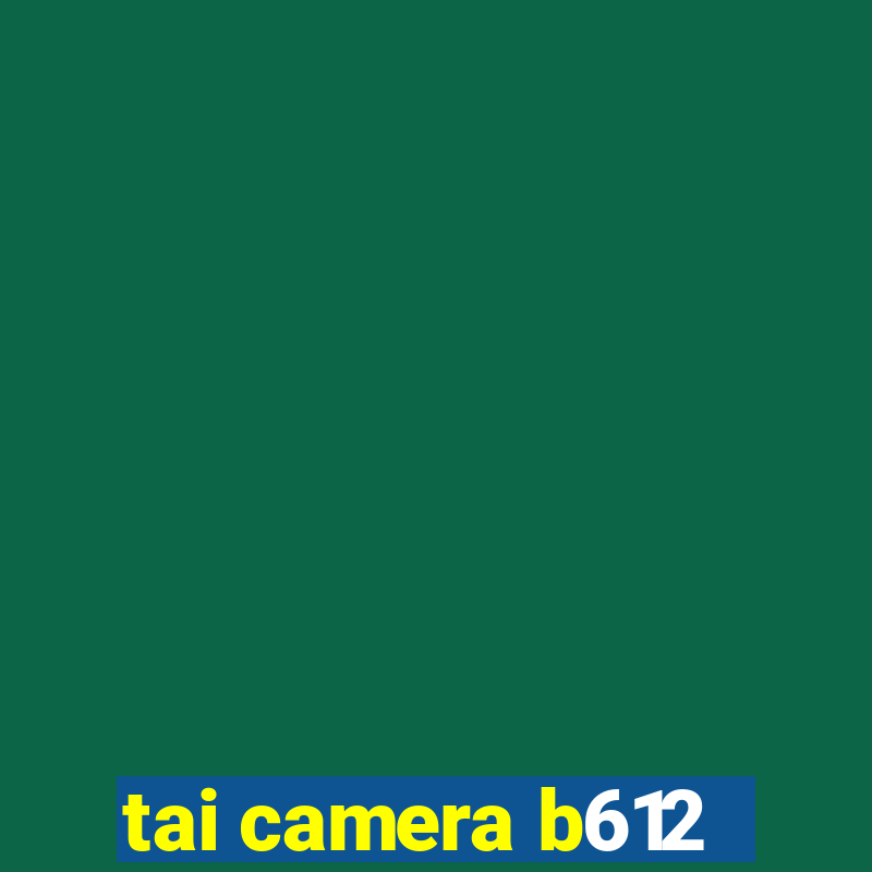 tai camera b612