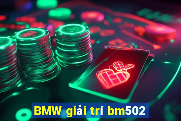 BMW giải trí bm502