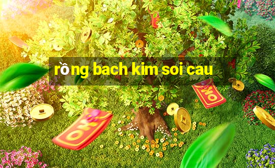 rồng bach kim soi cau