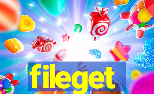 fileget