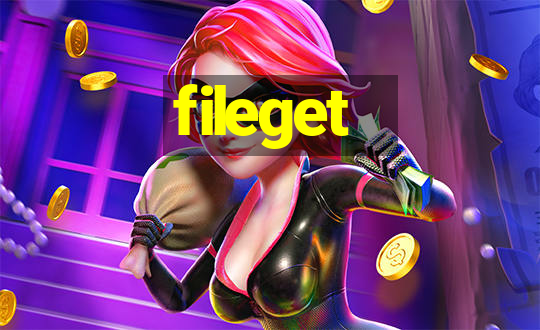 fileget