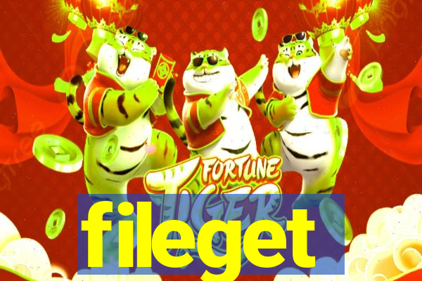 fileget