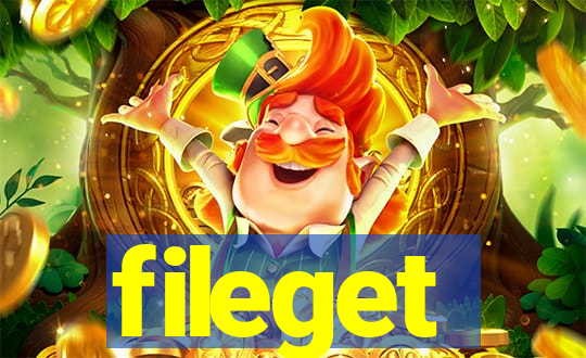 fileget