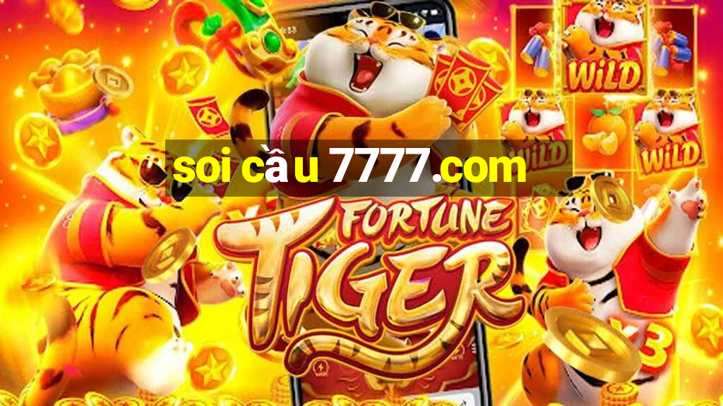 soi cầu 7777.com