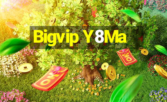 Bigvip Y8Ma