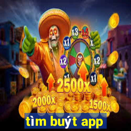 tìm buýt app