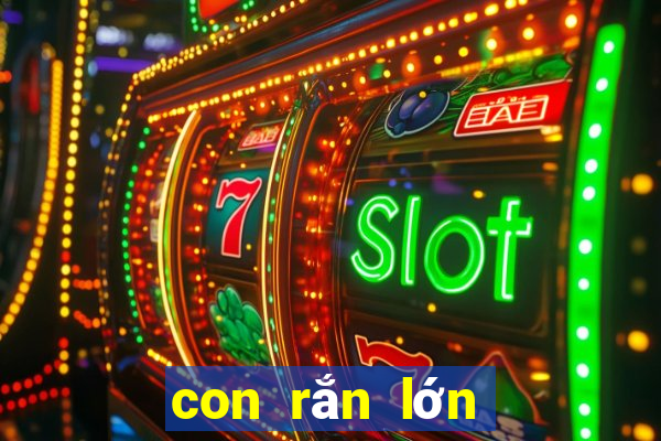 con rắn lớn số mấy