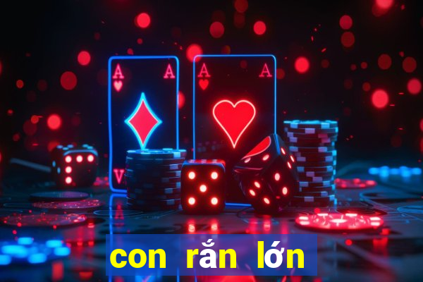 con rắn lớn số mấy