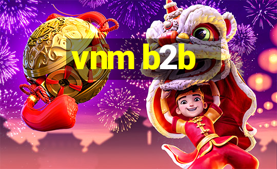 vnm b2b