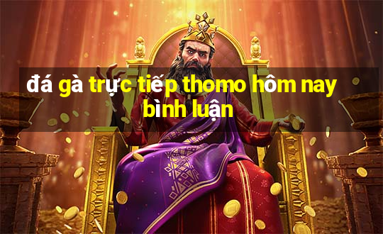 đá gà trực tiếp thomo hôm nay bình luận