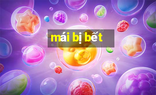 mái bị bết