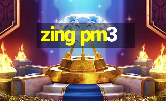 zing pm3