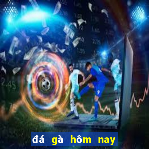 đá gà hôm nay trận 13