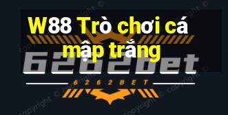 W88 Trò chơi cá mập trắng