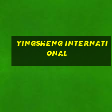 YINGSHENG INTERNATIONAL