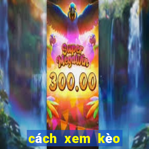 cách xem kèo trên m88