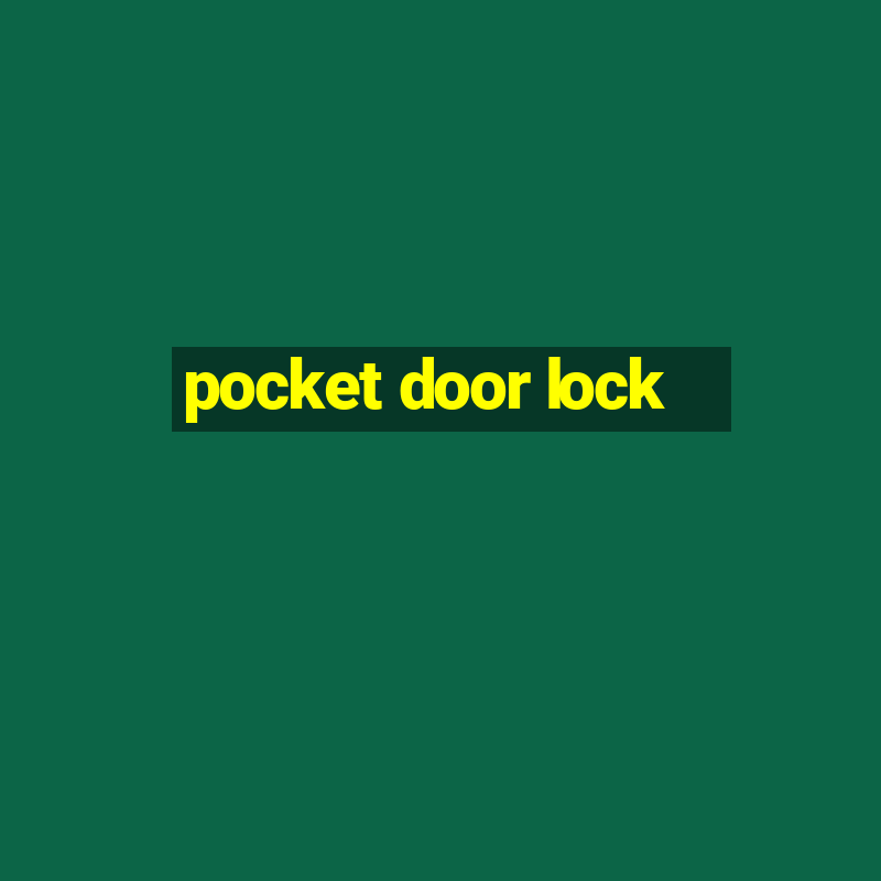 pocket door lock