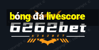 bóng đá livescore