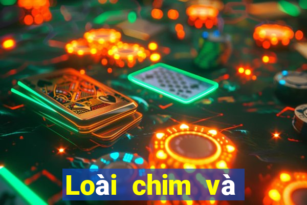 Loài chim và muôn thú