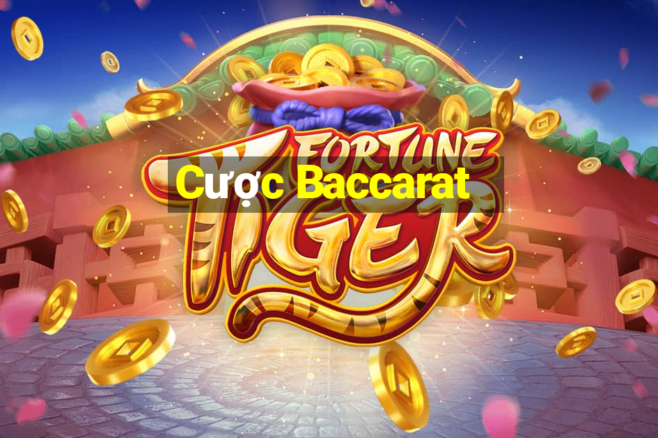 Cược Baccarat