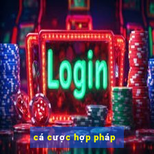 cá cược hợp pháp