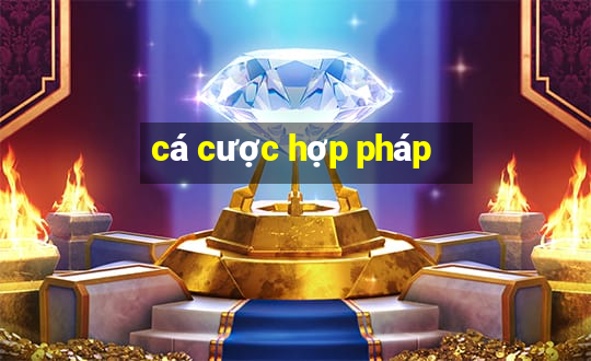 cá cược hợp pháp