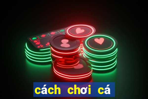 cách chơi cá độ bóng đá tài xỉu