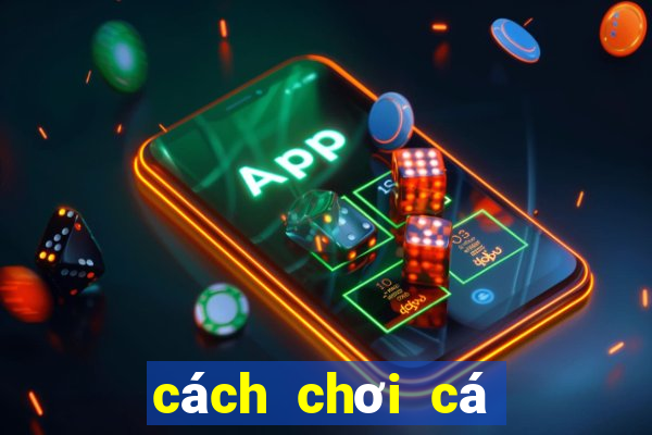 cách chơi cá độ bóng đá tài xỉu